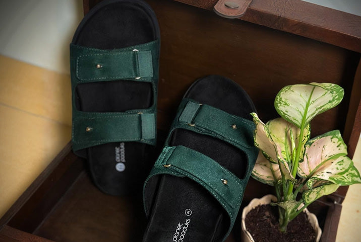 Luxurious Forest Green